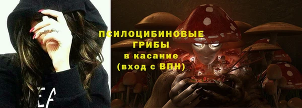 скорость Алзамай