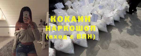 гидра Алексин