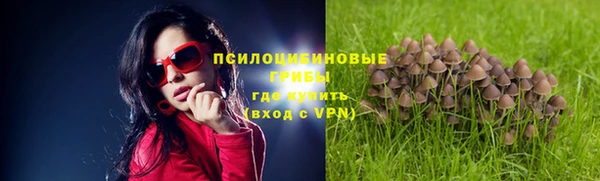 шишки Алексеевка