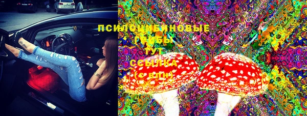 шишки Алексеевка