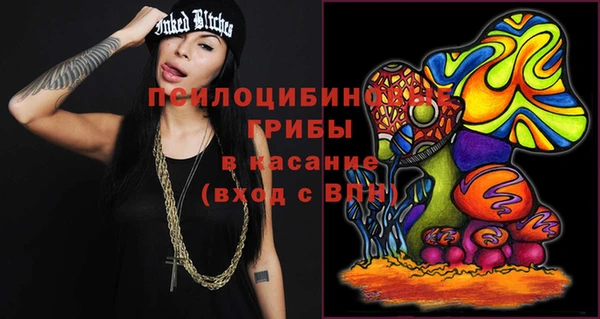 шишки Алексеевка