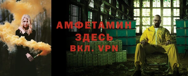 гидра Алексин