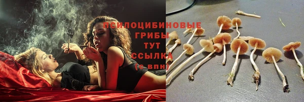 шишки Алексеевка