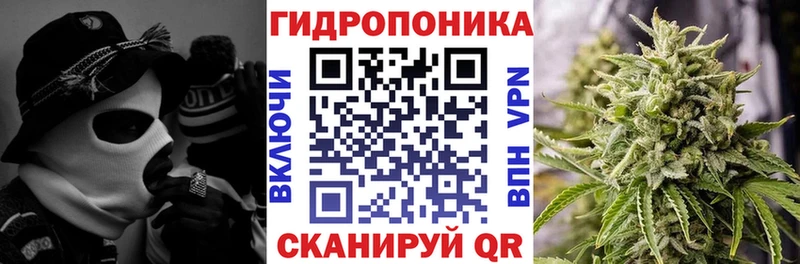 Марихуана гибрид кракен ONION Тогучин